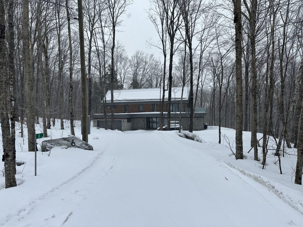 Résidence chalet en bois entourée de forêt, vue depuis l'entrée enneigée