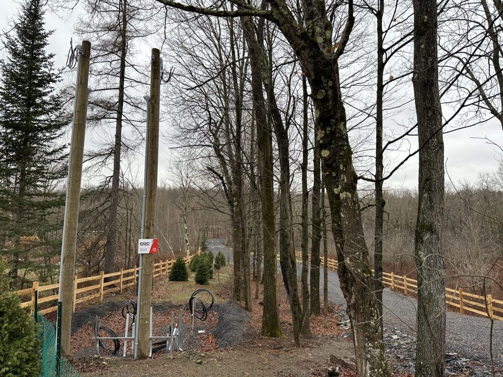 Nouveaux poteaux électriques installés le long d'un chemin forestier avec enseigne Doc Électrique